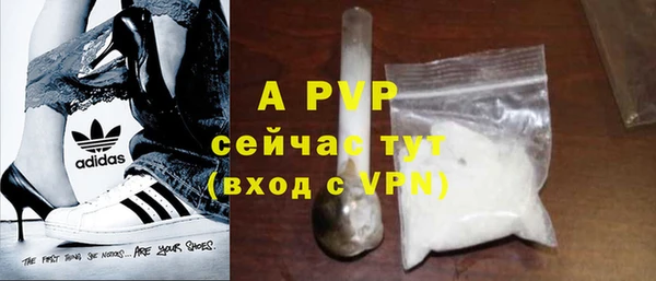 хмурый Белокуриха