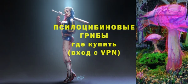 хмурый Белокуриха