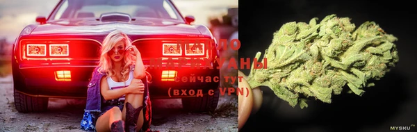 хмурый Белокуриха