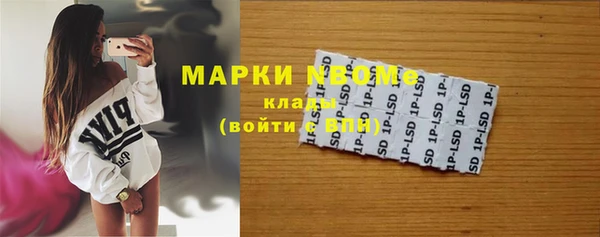 хмурый Белокуриха
