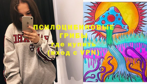 хмурый Белокуриха