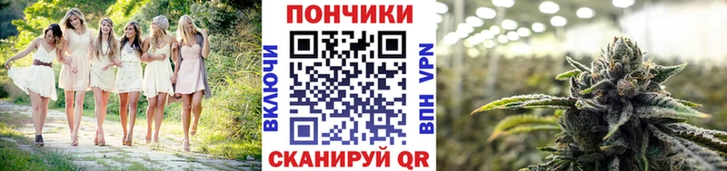 Бошки Шишки гибрид  Купить закладки  Вичуга 